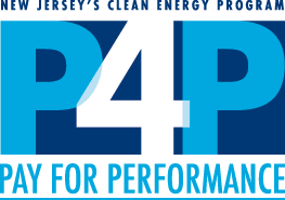 P4P_logo_FINAL(NO-PARTNERS)-1 (1)